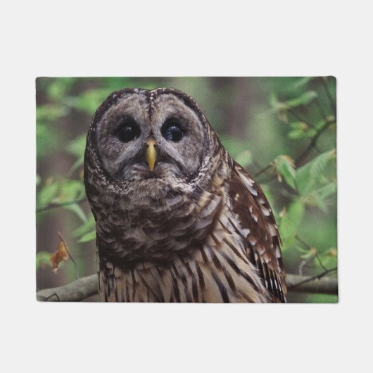 Barred Owl Deurmat (Voorkant)