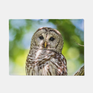 Barred Owl Deurmat
