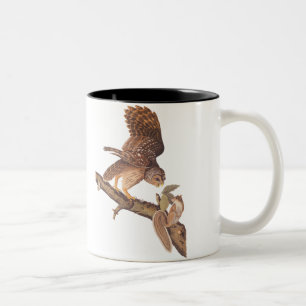 Barred Owl en Happy Squirrel Audubon Art Tweekleurige Koffiemok