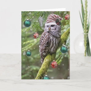 Barred Owl Feestdagen Kaart