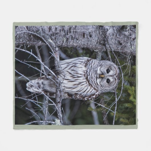 Barred Owl Fleece Deken (Voorkant (Horizontaal))
