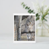 Barred Owl Foto Briefkaart (Staand voorkant)