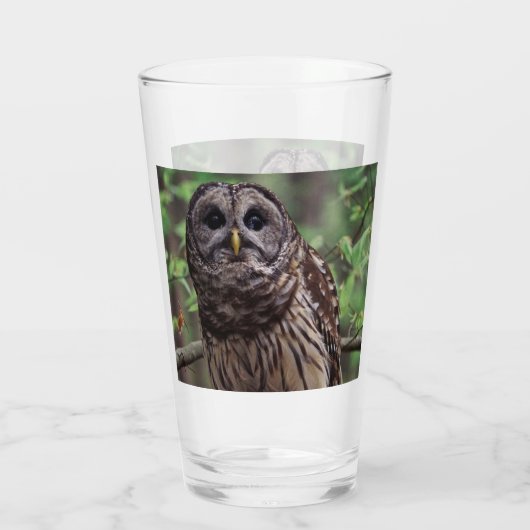 Barred Owl Glas (Achterkant)