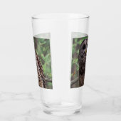 Barred Owl Glas (Rechts)