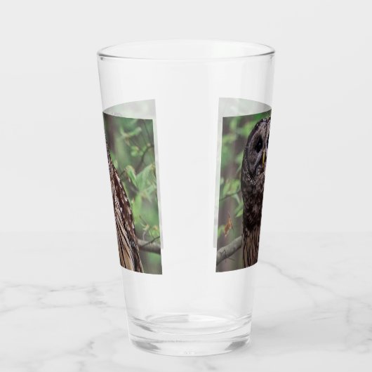 Barred Owl Glas (Rechts)