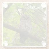 Barred Owl Glazen Onderzetter (Achterkant)