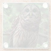 Barred Owl Glazen Onderzetter (Achterkant)
