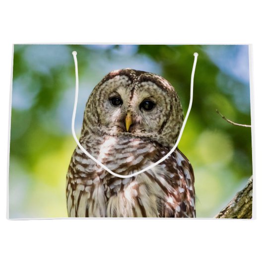 Barred Owl Groot Cadeauzakje (Voorkant)