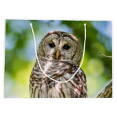 Barred Owl Groot Cadeauzakje (Achterkant)