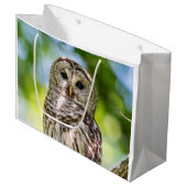 Barred Owl Groot Cadeauzakje (Voorkant Gekanteld)