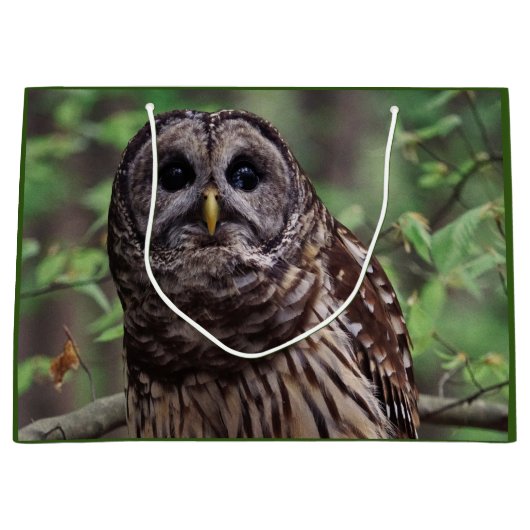 Barred Owl Groot Cadeauzakje (Voorkant)