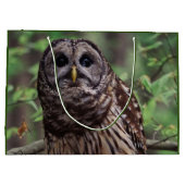 Barred Owl Groot Cadeauzakje (Achterkant)