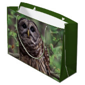 Barred Owl Groot Cadeauzakje (Achterkant Gekanteld)
