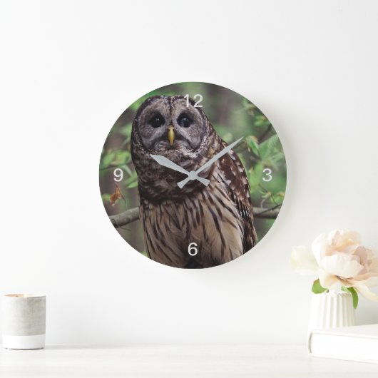 Barred Owl Grote Klok (Huis)