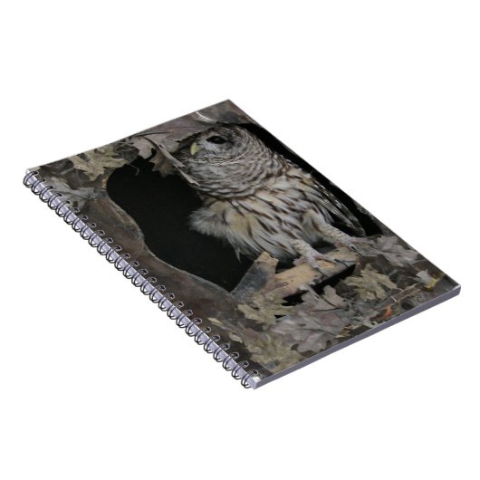 Barred Owl - Hier kijk je aan! Notitieboek (Rechterzijde)