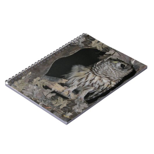 Barred Owl - Hier kijk je aan! Notitieboek (Linkerzijde)