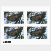 Barred Owl (Hoot Owl) Rechthoek Stickers (Vel)