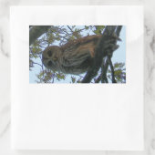 Barred Owl (Hoot Owl) Rechthoek Stickers (Tas)