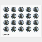 Barred Owl (Hoot Owl) Ronde Stickers (Vel)