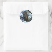 Barred Owl (Hoot Owl) Ronde Stickers (Tas)