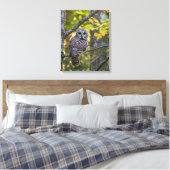 Barred Owl in Herfst | Alger County, MI Canvas Afdruk (Insitu (Slaapkamer))