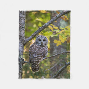 Barred Owl in Herfst   Alger County, MI Fleece Deken