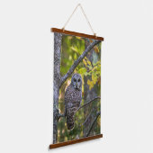 Barred Owl in Herfst | Alger County, MI Hangend Wandkleed (Gebogen)