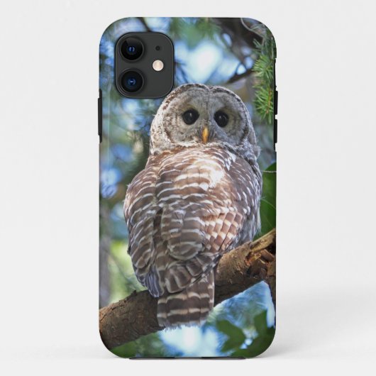 Barred Owl in het bos Case-Mate iPhone Case (Achterkant)