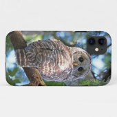 Barred Owl in het bos Case-Mate iPhone Case (Achterkant (horizontaal))