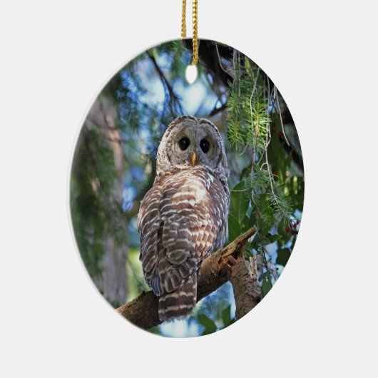 Barred Owl in het bos Keramisch Ornament (Rechts)