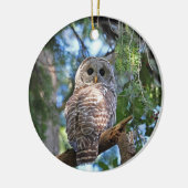 Barred Owl in het bos Keramisch Ornament (Links)