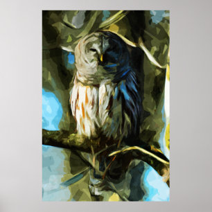 Barred Owl in Tree Abstract Impressionisme Poster