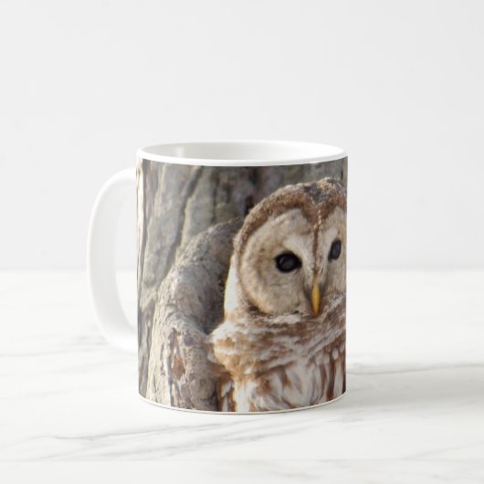 Barred Owl in Tree Mok (Voorkant links)