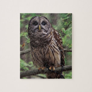 Barred Owl Jigzaag Puzzle Legpuzzel