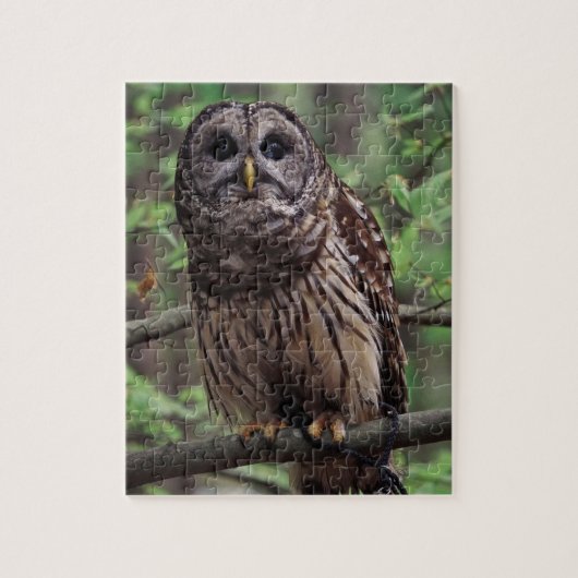 Barred Owl Jigzaag Puzzle Legpuzzel (Verticaal)