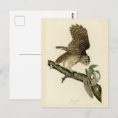 Barred Owl, John James Audubon's Birds of America Briefkaart (Voorkant / Achterkant)