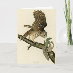 Barred Owl, John James Audubon's Birds of America Kaart