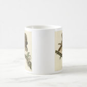 Barred Owl, John James Audubon's Birds of America Koffiemok (Center)