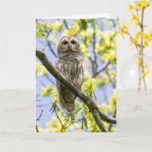 Barred Owl Kaart (Gele Bloem)