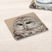 Barred Owl Kartonnen Onderzetters (Schuin)