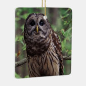 Barred Owl Keramisch Ornament (Rechts)