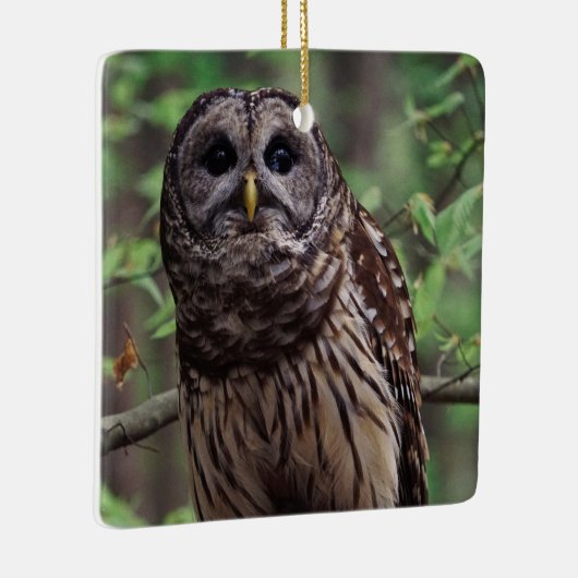 Barred Owl Keramisch Ornament (Rechts)