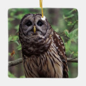 Barred Owl Keramisch Ornament (Voorkant)