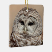 Barred Owl Keramisch Ornament (Rechts)