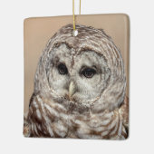 Barred Owl Keramisch Ornament (Links)