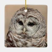 Barred Owl Keramisch Ornament (Achterkant)