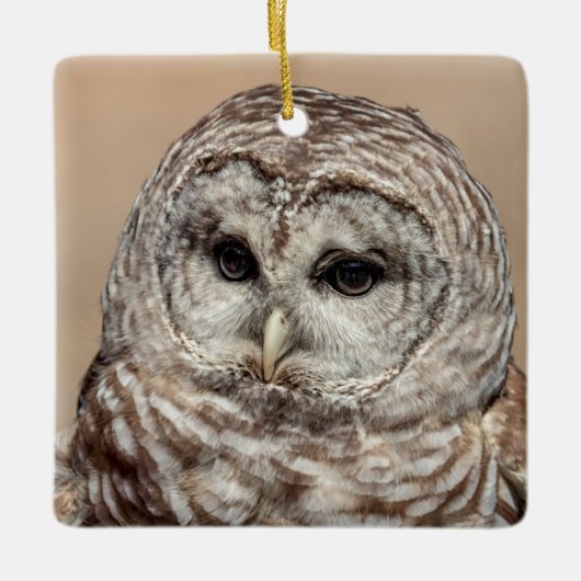 Barred Owl Keramisch Ornament (Voorkant)