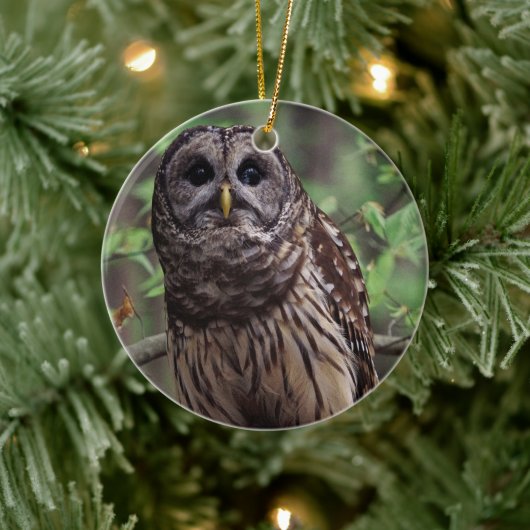 Barred Owl Keramisch Ornament (Boom)