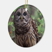 Barred Owl Keramisch Ornament (Links)