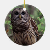 Barred Owl Keramisch Ornament (Achterkant)